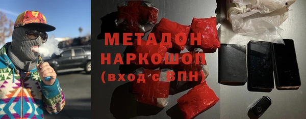 прущие грибы Лабытнанги