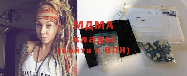 прущие грибы Лабытнанги