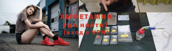 прущие грибы Лабытнанги