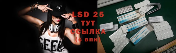прущие грибы Лабытнанги