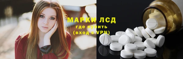 прущие грибы Лабытнанги