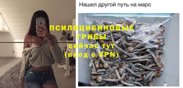 круглые Лагань