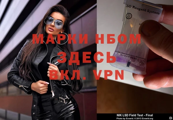 прущие грибы Лабытнанги