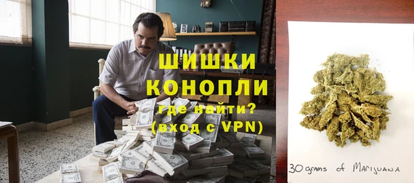 прущие грибы Лабытнанги