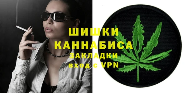 прущие грибы Лабытнанги