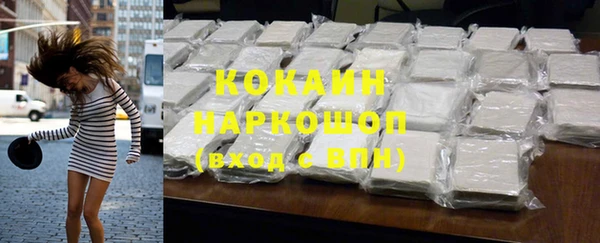 прущие грибы Лабытнанги