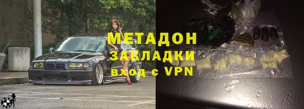 прущие грибы Лабытнанги