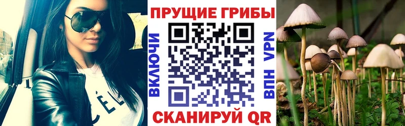 Галлюциногенные грибы мухоморы Купить Ижевск